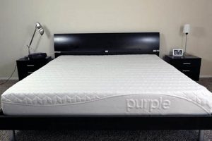 Is a Purple King Mattress Size Right for You? Organic & Natural Mattress Buyer’s Guide: Non-Toxic Sleep Solutions Is a Purple King Mattress Size Right for You? | Organic & Natural Mattress Buyer’s Guide: Non-Toxic Sleep Solutions