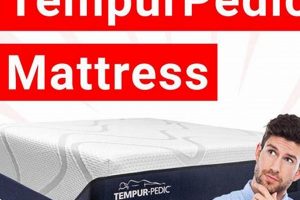 King Size: Tempur-Pedic Mattress Cost & What to Know | Organic & Natural Mattress Buyer’s Guide: Non-Toxic Sleep Solutions
