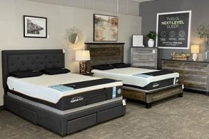 Best Mattress King Billings: Sleep Like Royalty Here! | Organic & Natural Mattress Buyer’s Guide: Non-Toxic Sleep Solutions
