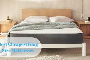 Best Value: Cheapest King Size Mattress Deals You Need Organic & Natural Mattress Buyer’s Guide: Non-Toxic Sleep Solutions Best Value: Cheapest King Size Mattress Deals You Need | Organic & Natural Mattress Buyer’s Guide: Non-Toxic Sleep Solutions