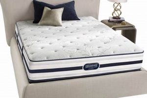 Beautyrest Recharge King Mattress: Sleep Like Royalty! Organic & Natural Mattress Buyer’s Guide: Non-Toxic Sleep Solutions Beautyrest Recharge King Mattress: Sleep Like Royalty! | Organic & Natural Mattress Buyer’s Guide: Non-Toxic Sleep Solutions