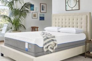 Best Tempurpedic Mattress King Size: Comfort & Support | Organic & Natural Mattress Buyer’s Guide: Non-Toxic Sleep Solutions