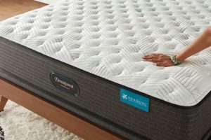 Best Extra Firm King Mattress: Support & Comfort | Organic & Natural Mattress Buyer’s Guide: Non-Toxic Sleep Solutions