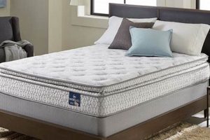 Ultimate Guide: King Size Serta Mattress Reviews & Deals | Organic & Natural Mattress Buyer’s Guide: Non-Toxic Sleep Solutions