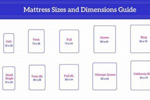 King Size: Mattress Measurements in Feet + Room Guide Organic & Natural Mattress Buyer’s Guide: Non-Toxic Sleep Solutions King Size: Mattress Measurements in Feet + Room Guide | Organic & Natural Mattress Buyer’s Guide: Non-Toxic Sleep Solutions