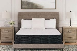 Best Plush California King Mattress [Guide & Reviews] | Organic & Natural Mattress Buyer’s Guide: Non-Toxic Sleep Solutions