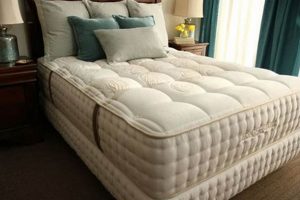 Best King Coil Mattress: Reviews & Sleep Guide Organic & Natural Mattress Buyer’s Guide: Non-Toxic Sleep Solutions Best King Coil Mattress: Reviews & Sleep Guide | Organic & Natural Mattress Buyer’s Guide: Non-Toxic Sleep Solutions