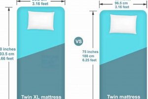 Twin XL: Mattress Size in CM + Buying Guide Organic & Natural Mattress Buyer’s Guide: Non-Toxic Sleep Solutions Twin XL: Mattress Size in CM + Buying Guide | Organic & Natural Mattress Buyer’s Guide: Non-Toxic Sleep Solutions