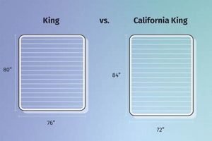 King Size Showdown: California King vs King Mattress? | Organic & Natural Mattress Buyer’s Guide: Non-Toxic Sleep Solutions
