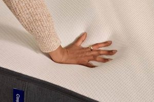 Casper XL Twin Mattress: Space-Saving Comfort for Taller Sleepers Organic & Natural Mattress Buyer’s Guide: Non-Toxic Sleep Solutions Casper XL Twin Mattress: Space-Saving Comfort for Taller Sleepers | Organic & Natural Mattress Buyer’s Guide: Non-Toxic Sleep Solutions