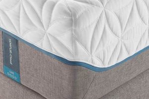 Best Tempur King Mattress: Luxury & Comfort Sleep! | Organic & Natural Mattress Buyer’s Guide: Non-Toxic Sleep Solutions