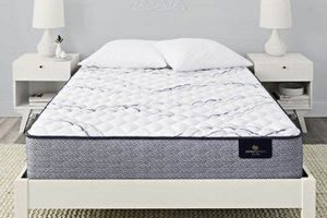 Wayfair King Mattress: Find Your Perfect King Bed Organic & Natural Mattress Buyer’s Guide: Non-Toxic Sleep Solutions Wayfair King Mattress: Find Your Perfect King Bed | Organic & Natural Mattress Buyer’s Guide: Non-Toxic Sleep Solutions