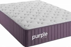 King Dreams: Purple Mattress King Size Price Guide & Deals! | Organic & Natural Mattress Buyer’s Guide: Non-Toxic Sleep Solutions