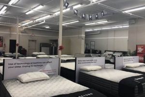 Best Mattress Firm Paramus: Sleep Better Now! Organic & Natural Mattress Buyer’s Guide: Non-Toxic Sleep Solutions Best Mattress Firm Paramus: Sleep Better Now! | Organic & Natural Mattress Buyer’s Guide: Non-Toxic Sleep Solutions