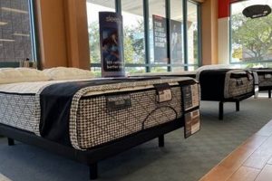 Find Your Perfect Mattress: Mattress Firm Clearwater, FL Deals Organic & Natural Mattress Buyer’s Guide: Non-Toxic Sleep Solutions Find Your Perfect Mattress: Mattress Firm Clearwater, FL Deals | Organic & Natural Mattress Buyer’s Guide: Non-Toxic Sleep Solutions