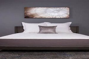 Find Your Firm Comfort: Mattress Firm Hyannis Experts Organic & Natural Mattress Buyer’s Guide: Non-Toxic Sleep Solutions Find Your Firm Comfort: Mattress Firm Hyannis Experts | Organic & Natural Mattress Buyer’s Guide: Non-Toxic Sleep Solutions