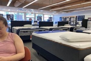 Guide to Mattress Firm Union: Rights, Benefits & More Organic & Natural Mattress Buyer’s Guide: Non-Toxic Sleep Solutions Guide to Mattress Firm Union: Rights, Benefits & More | Organic & Natural Mattress Buyer’s Guide: Non-Toxic Sleep Solutions