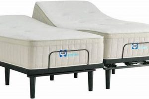 Best Mattresses: Mattress Firm Elizabethtown KY Deals Organic & Natural Mattress Buyer’s Guide: Non-Toxic Sleep Solutions Best Mattresses: Mattress Firm Elizabethtown KY Deals | Organic & Natural Mattress Buyer’s Guide: Non-Toxic Sleep Solutions