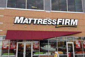 Best Mattress Firm Harlem: Sleep Solutions & Deals Organic & Natural Mattress Buyer’s Guide: Non-Toxic Sleep Solutions Best Mattress Firm Harlem: Sleep Solutions & Deals | Organic & Natural Mattress Buyer’s Guide: Non-Toxic Sleep Solutions