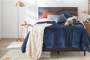 Best Mattress Firm Hilo Hawaii: Sleep Soundly Organic & Natural Mattress Buyer’s Guide: Non-Toxic Sleep Solutions Best Mattress Firm Hilo Hawaii: Sleep Soundly | Organic & Natural Mattress Buyer’s Guide: Non-Toxic Sleep Solutions