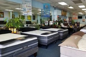 Find Firm Comfort: Mattress Firm Garden Grove Store Organic & Natural Mattress Buyer’s Guide: Non-Toxic Sleep Solutions Find Firm Comfort: Mattress Firm Garden Grove Store | Organic & Natural Mattress Buyer’s Guide: Non-Toxic Sleep Solutions