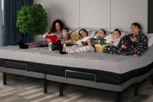 Best Family XL Mattress [Deals!] for Comfy Sleep | Organic & Natural Mattress Buyer’s Guide: Non-Toxic Sleep Solutions