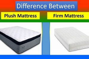 What's That? Meaning of Firm Mattress + Benefits Guide Safem Fabrication - Precision Engineering & Custom Manufacturing Solutions What's That? Meaning of Firm Mattress + Benefits Guide | Safem Fabrication - Precision Engineering & Custom Manufacturing Solutions
