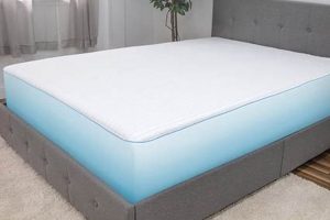 Best Twin XL Waterproof Mattress Protector - Protect XL Bed! | Organic & Natural Mattress Buyer’s Guide: Non-Toxic Sleep Solutions