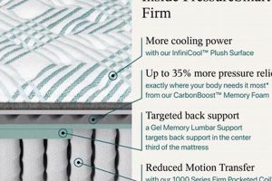 Best Pressure Smart Firm Mattress: Sleep Soundly Organic & Natural Mattress Buyer’s Guide: Non-Toxic Sleep Solutions Best Pressure Smart Firm Mattress: Sleep Soundly | Organic & Natural Mattress Buyer’s Guide: Non-Toxic Sleep Solutions