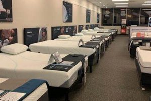 Best Bayside Mattress Firm: Sleep Soundly Here Organic & Natural Mattress Buyer’s Guide: Non-Toxic Sleep Solutions Best Bayside Mattress Firm: Sleep Soundly Here | Organic & Natural Mattress Buyer’s Guide: Non-Toxic Sleep Solutions