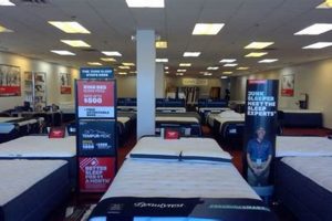 Best Mattress Firm Lowell MA: Your Sleep Starts Here Organic & Natural Mattress Buyer’s Guide: Non-Toxic Sleep Solutions Best Mattress Firm Lowell MA: Your Sleep Starts Here | Organic & Natural Mattress Buyer’s Guide: Non-Toxic Sleep Solutions