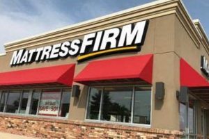 NJ Mattress Firm Union: What Retail Workers Need to Know Organic & Natural Mattress Buyer’s Guide: Non-Toxic Sleep Solutions NJ Mattress Firm Union: What Retail Workers Need to Know | Organic & Natural Mattress Buyer’s Guide: Non-Toxic Sleep Solutions