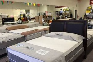 Rosedale Mattress Firm: Sleep Better Deals Near You! Organic & Natural Mattress Buyer’s Guide: Non-Toxic Sleep Solutions Rosedale Mattress Firm: Sleep Better Deals Near You! | Organic & Natural Mattress Buyer’s Guide: Non-Toxic Sleep Solutions