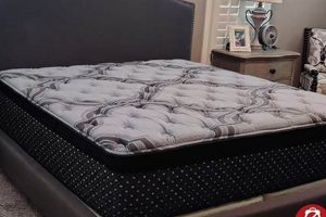 Sleep Better with Mattress Firm Cartersville [Deals!] | Organic & Natural Mattress Buyer’s Guide: Non-Toxic Sleep Solutions