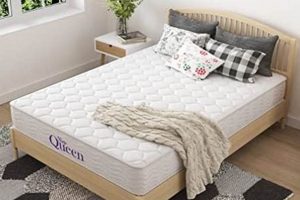 Best 8 Inch Twin XL Mattress [Deals!] | Organic & Natural Mattress Buyer’s Guide: Non-Toxic Sleep Solutions