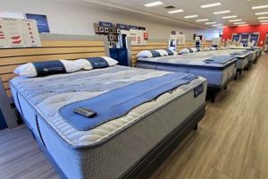 Best Mattress Firm in Fort Collins CO: Your Sleep Starts Here! Organic & Natural Mattress Buyer’s Guide: Non-Toxic Sleep Solutions Best Mattress Firm in Fort Collins CO: Your Sleep Starts Here! | Organic & Natural Mattress Buyer’s Guide: Non-Toxic Sleep Solutions