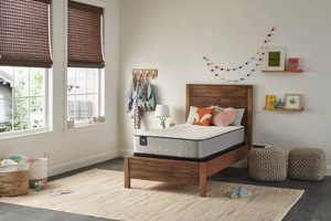 Shop Mattresses at Mattress Firm Lancaster Today! Organic & Natural Mattress Buyer’s Guide: Non-Toxic Sleep Solutions Shop Mattresses at Mattress Firm Lancaster Today! | Organic & Natural Mattress Buyer’s Guide: Non-Toxic Sleep Solutions