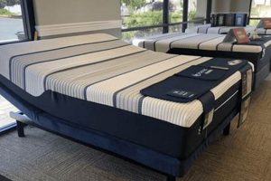 Best Mattress Firm Reno NV Deals: Sleep Soundly Tonight! Organic & Natural Mattress Buyer’s Guide: Non-Toxic Sleep Solutions Best Mattress Firm Reno NV Deals: Sleep Soundly Tonight! | Organic & Natural Mattress Buyer’s Guide: Non-Toxic Sleep Solutions