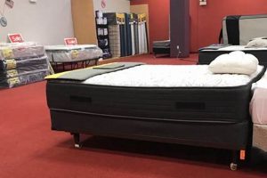 Your Best Mattress at Mattress Firm Attleboro, MA Organic & Natural Mattress Buyer’s Guide: Non-Toxic Sleep Solutions Your Best Mattress at Mattress Firm Attleboro, MA | Organic & Natural Mattress Buyer’s Guide: Non-Toxic Sleep Solutions