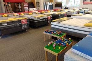 Best Mattress Firm Apex NC: Sleep Solutions & More Organic & Natural Mattress Buyer’s Guide: Non-Toxic Sleep Solutions Best Mattress Firm Apex NC: Sleep Solutions & More | Organic & Natural Mattress Buyer’s Guide: Non-Toxic Sleep Solutions