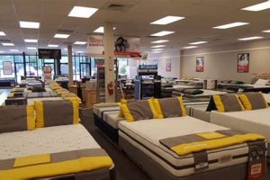 Best Mattress Firm Asheville: Your Sleep Starts Here! Organic & Natural Mattress Buyer’s Guide: Non-Toxic Sleep Solutions Best Mattress Firm Asheville: Your Sleep Starts Here! | Organic & Natural Mattress Buyer’s Guide: Non-Toxic Sleep Solutions