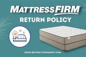 Mattress Firm Return Policy: Easy Guide + Tips Organic & Natural Mattress Buyer’s Guide: Non-Toxic Sleep Solutions Mattress Firm Return Policy: Easy Guide + Tips | Organic & Natural Mattress Buyer’s Guide: Non-Toxic Sleep Solutions
