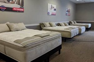 Best Mattress Firm Santa Cruz: Sleep Solutions! Organic & Natural Mattress Buyer’s Guide: Non-Toxic Sleep Solutions Best Mattress Firm Santa Cruz: Sleep Solutions! | Organic & Natural Mattress Buyer’s Guide: Non-Toxic Sleep Solutions