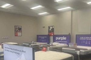 Best Mattress Firm in Sacramento CA: Find Your Perfect Bed Organic & Natural Mattress Buyer’s Guide: Non-Toxic Sleep Solutions Best Mattress Firm in Sacramento CA: Find Your Perfect Bed | Organic & Natural Mattress Buyer’s Guide: Non-Toxic Sleep Solutions