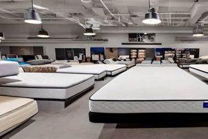 Shop Mattresses Near You | Mattress Firm Turlock CA Organic & Natural Mattress Buyer’s Guide: Non-Toxic Sleep Solutions Shop Mattresses Near You | Mattress Firm Turlock CA | Organic & Natural Mattress Buyer’s Guide: Non-Toxic Sleep Solutions