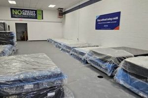 Find Your Perfect Mattress at Mattress Firm Mount Pleasant East Organic & Natural Mattress Buyer’s Guide: Non-Toxic Sleep Solutions Find Your Perfect Mattress at Mattress Firm Mount Pleasant East | Organic & Natural Mattress Buyer’s Guide: Non-Toxic Sleep Solutions