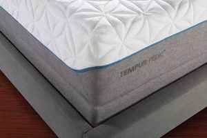 Best XL Twin Tempur-Pedic Mattress: Size & Comfort | Organic & Natural Mattress Buyer’s Guide: Non-Toxic Sleep Solutions