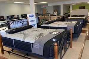 Find Your Perfect Mattress: Mattress Firm Fruitville Pike Deals Organic & Natural Mattress Buyer’s Guide: Non-Toxic Sleep Solutions Find Your Perfect Mattress: Mattress Firm Fruitville Pike Deals | Organic & Natural Mattress Buyer’s Guide: Non-Toxic Sleep Solutions