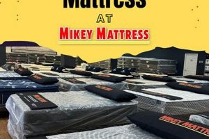 Sleep Better in Jensen Beach: Mattress Firm Deals Near You Organic & Natural Mattress Buyer’s Guide: Non-Toxic Sleep Solutions Sleep Better in Jensen Beach: Mattress Firm Deals Near You | Organic & Natural Mattress Buyer’s Guide: Non-Toxic Sleep Solutions