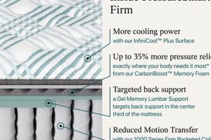 Best Pressuresmart 2.0 Firm 11 Mattress for Back Support Organic & Natural Mattress Buyer’s Guide: Non-Toxic Sleep Solutions Best Pressuresmart 2.0 Firm 11 Mattress for Back Support | Organic & Natural Mattress Buyer’s Guide: Non-Toxic Sleep Solutions